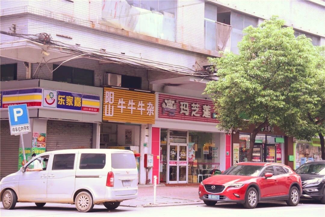 英德市金鑫城最新动态揭秘，小巷深处的特色小店探秘之旅